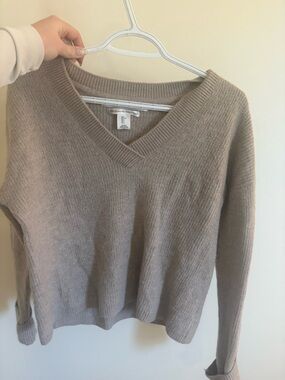 Max Studio V-Neck Sweater in Taupe
